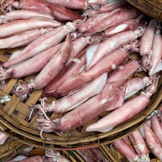 Mực Trứng Hấp Size 12up (1kg)