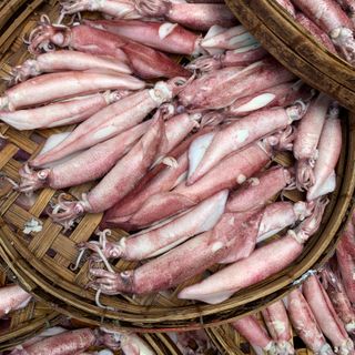 Mực Trứng Hấp Size 12up (1kg)