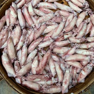 Mực Trứng Hấp Size 7-9cm (1kg)
