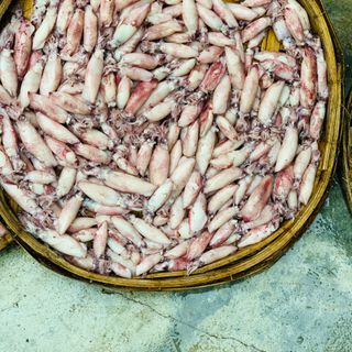 Mực Trứng Hấp, Ghim Trứng Hấp Size G90 (1kg)