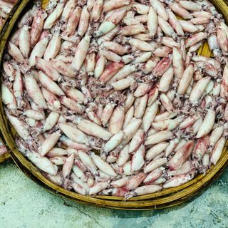 Mực Trứng Hấp, Ghim Trứng Hấp Size G90 (1kg)
