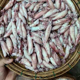 Mực Trứng Hấp Size 5-7 cm (1kg)