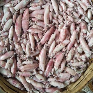 Mực Trứng Hấp Size 5-7 cm (1kg)