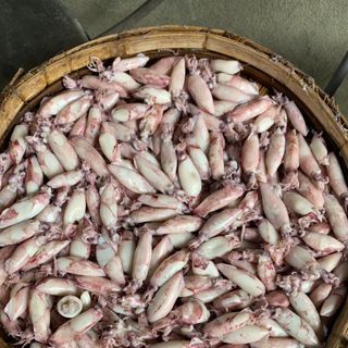 Mực Trứng Hấp Size 5-7 cm (1kg)