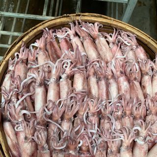 Mực Cơm Hấp Size C20 (1kg)