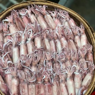 Mực Cơm Hấp Size C20 (1kg)