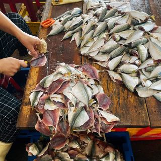 Cá Chỉ Vàng Một Nắng Tẩm Gia Vị, size 1kg/2 khay