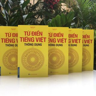 Từ điển tiếng Việt thông dụng (bìa mềm)-khổ to