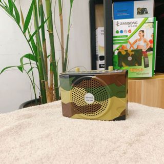 Loa trợ giảng rằn ri Bẫy Chim ws898