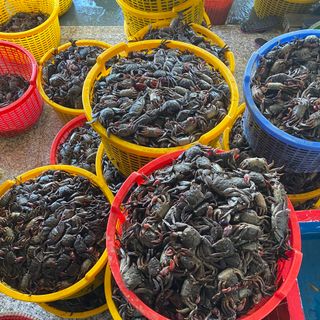 Cần tìm Đại Lý Phân Phối Mắm Ba Khía Nguyên Con Rạch Gốc, Cà Mau