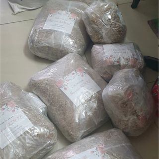 Ngũ cốc Kim Kê - thức ăn dành cho gà đá