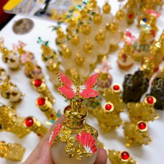 Chuồn chuồn bớm