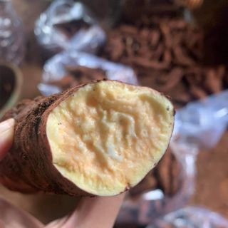 Khoai lang mật Tà Nung
