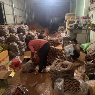 Khoai lang mật Tà Nung