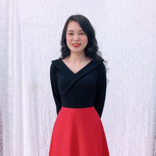 Đầm xòe tay dài thun gân sọc GR170