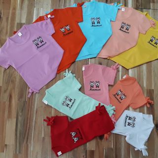 Áo thun nữ vải cotton đẹp giá sỉ