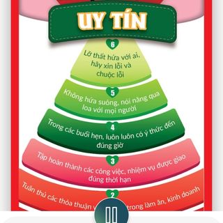 Áo thun nữ vải cotton đẹp