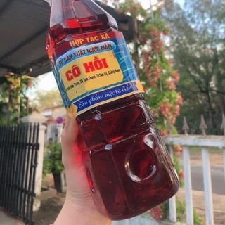 MẮM QUÊ (LÀNG BÍCH HỌA TAM THANH)