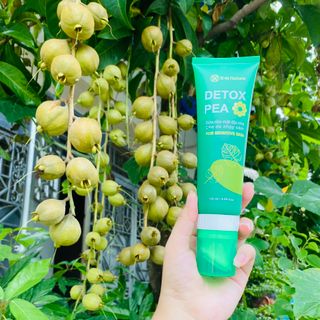 Sữa rửa mặt đầu cọ xm nature