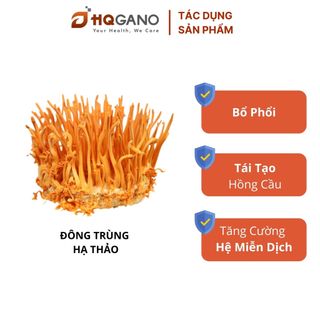[HQGANO] Combo Nấm Dược Tăng Cường Sức Đề Kháng Và Phục Hồi Sức Khỏe Người Bệnh COVID-19 Liệu Trình Phối Hợp, Thảo Dược