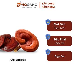 [HQGANO] Combo Nấm Dược Tăng Cường Sức Đề Kháng Và Phục Hồi Sức Khỏe Người Bệnh COVID-19 Liệu Trình Phối Hợp, Thảo Dược