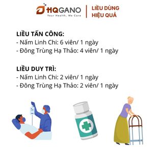 [HQGANO] Combo Nấm Dược Tăng Cường Sức Đề Kháng Và Phục Hồi Sức Khỏe Người Bệnh COVID-19 Liệu Trình Phối Hợp, Thảo Dược