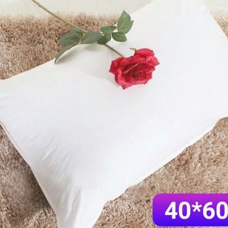RUỘT GỐI BÔNG TRẮNG TINH