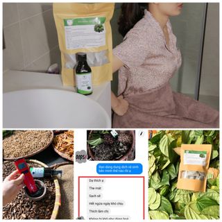 LÁ TRẦU KHÔNG XÔNG HƠ VÙNG KÍN