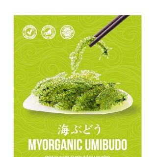 Hộp 300g, 12 x 25g rong nho tách nước MyOrganic Umibudo + 01 chai xốt mè rang 180ml