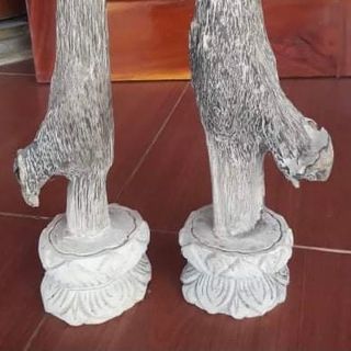 Cây trầm cảnh