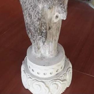 Cây trầm cảnh
