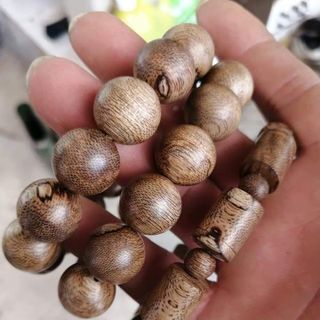 Cây trầm cảnh