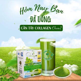 CẦN TÂY COLLAGEN THIÊN NHIÊN VIỆT( HỘP 30 GÓI)