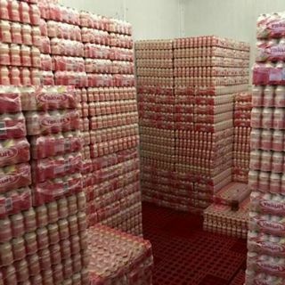 Sữa Chua Yakult Nhật Bản-Lốc 5 chai