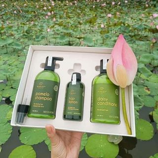 COMBO NGĂN NGỪA RỤNG, GÀU- KÍCH MỌC TÓC-PHỤC HỒI TÓC CHẮC KHOẺ