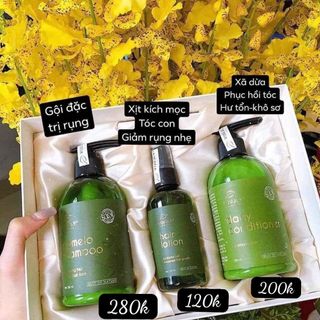 COMBO NGĂN NGỪA RỤNG, GÀU- KÍCH MỌC TÓC-PHỤC HỒI TÓC CHẮC KHOẺ
