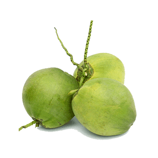 DỪA XIM BÊN TRE