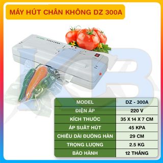 Máy hút chân không DZ300A giá sỉ