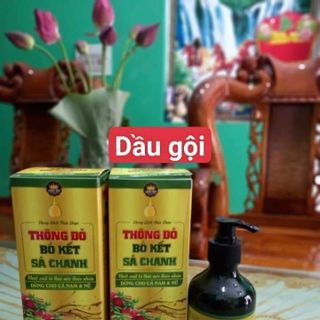 Dầu gội đầu Thông đỏ - Bồ kết - Sả - Chanh