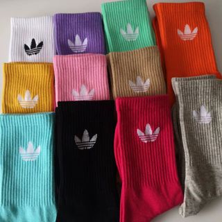 Tất Vớ Cổ Cao Full 11 Màu Candy