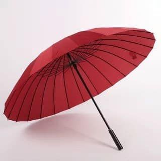 Ô 24 nan hàng về