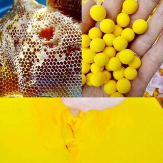 TINH NGHỆ BỘT BẠCH LẠC TÂM