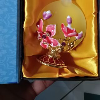 Bông cúc tinh dầu Dubai