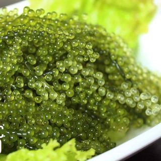 Hộp 150g, 06 x 25g rong nho tách nước MyOrganic Umibudo + 06 gói xốt mè rang 90ml