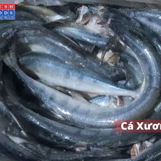 Cá Xương Xanh Cắt Đầu Làm Sạch