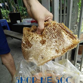 Mật ong rừng nguyên chất vùng núi Tây Bắc, Mật ong khoái, Mật ong đúng mùa vụ thơm ngon đặc sánh