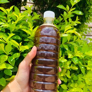 Sỉ mật ong hoa cà phê nguyên chất DakLak