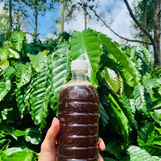 Sỉ mật ong hoa cà phê nguyên chất DakLak