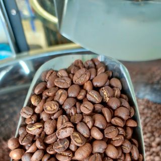 Sỉ cà phê nguyên chất 100% cung cấp cho quán cà phê giá sỉ