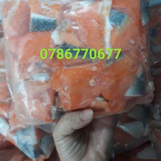 Thịt Vụn Cá hồi xuất khẩu